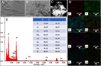 Incorporation of Different Metal Ion for Tuning Color and Enhancing Antioxidant Activity of Curcumin/Palygorskite Hybrid Materials